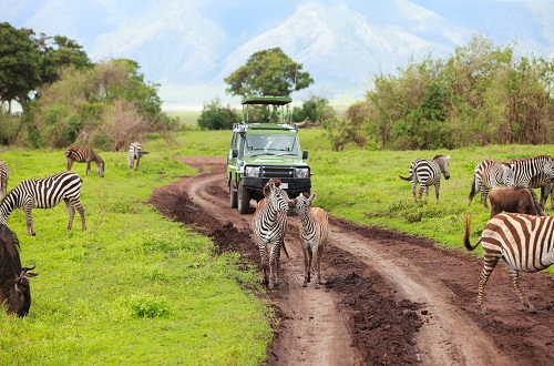 2 days to Tarangire and Kilimanjaro