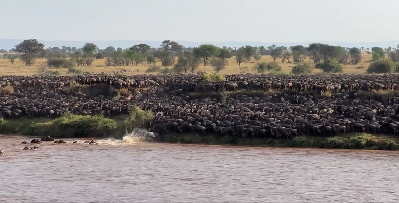 7 Days Kenya Tanzania Luxury Safari