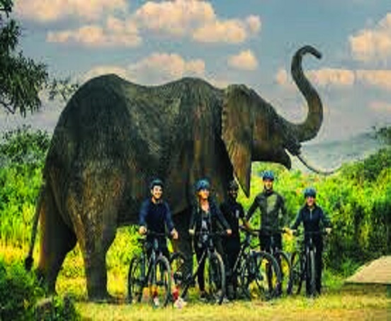 Arusha national park bike cycling tour