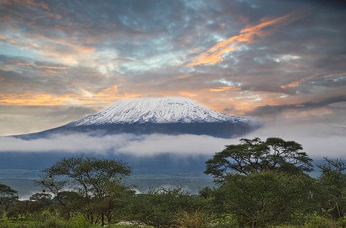 Best Kilimanjaro climbing routes and their summit rates