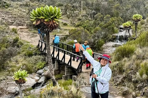  Best Tour Operator in Tanzania