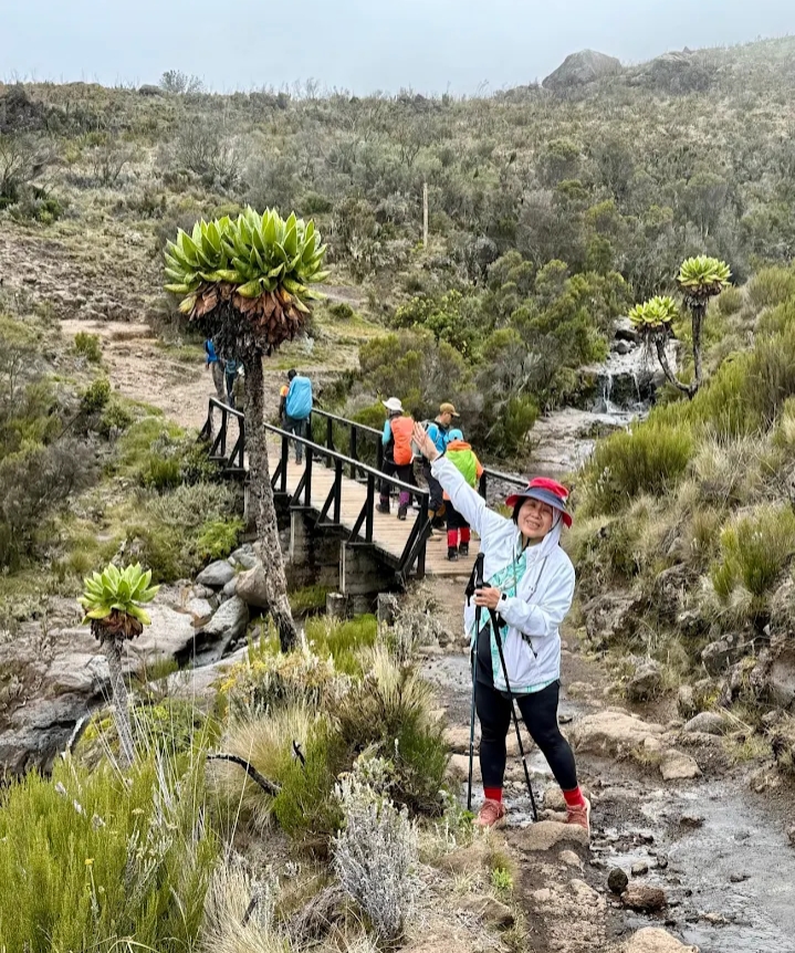 Climbing Kilimanjaro in November 2026, 2027 & 2028 