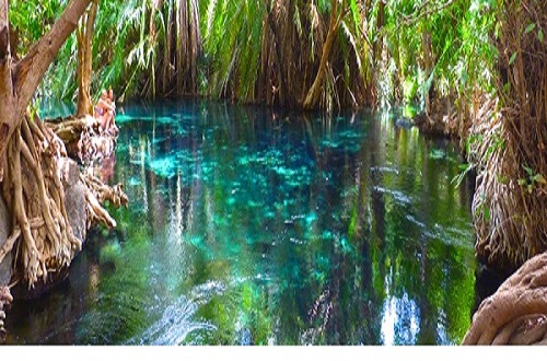 Best day trip to Chemka Hot Spring from Arusha or Moshi