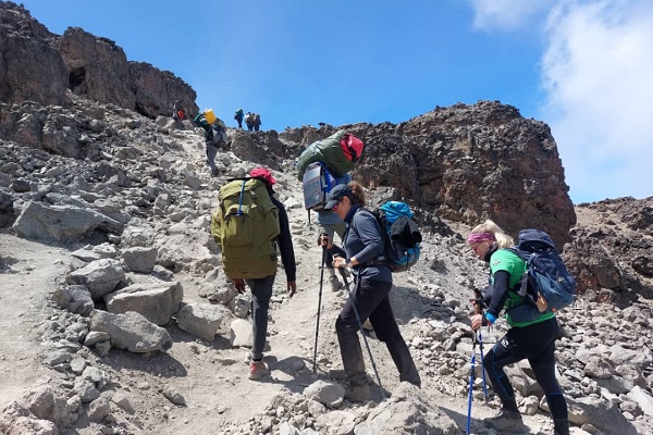 Adventure and travel in Tanzania with Winners Expeditions, the best tour company in Tanzania and premier tour company in Tanzania, featuring expertly guided climbs to Mount Kilimanjaro and Mount Meru with Kilimanjaro local guides and Mount Meru local guides, thrilling wildlife safaris in Serengeti, Ngorongoro, Tarangire, and Lake Manyara with Tanzania safari tour guides, authentic experiences with local tribes and communities, cultural and beach tours in Zanzibar with Zanzibar local guides, and unforgettable journeys offered by the best Tanzania local tour company and trusted Tanzania tour operator.
                        Best Kilimanjaro climbing routes