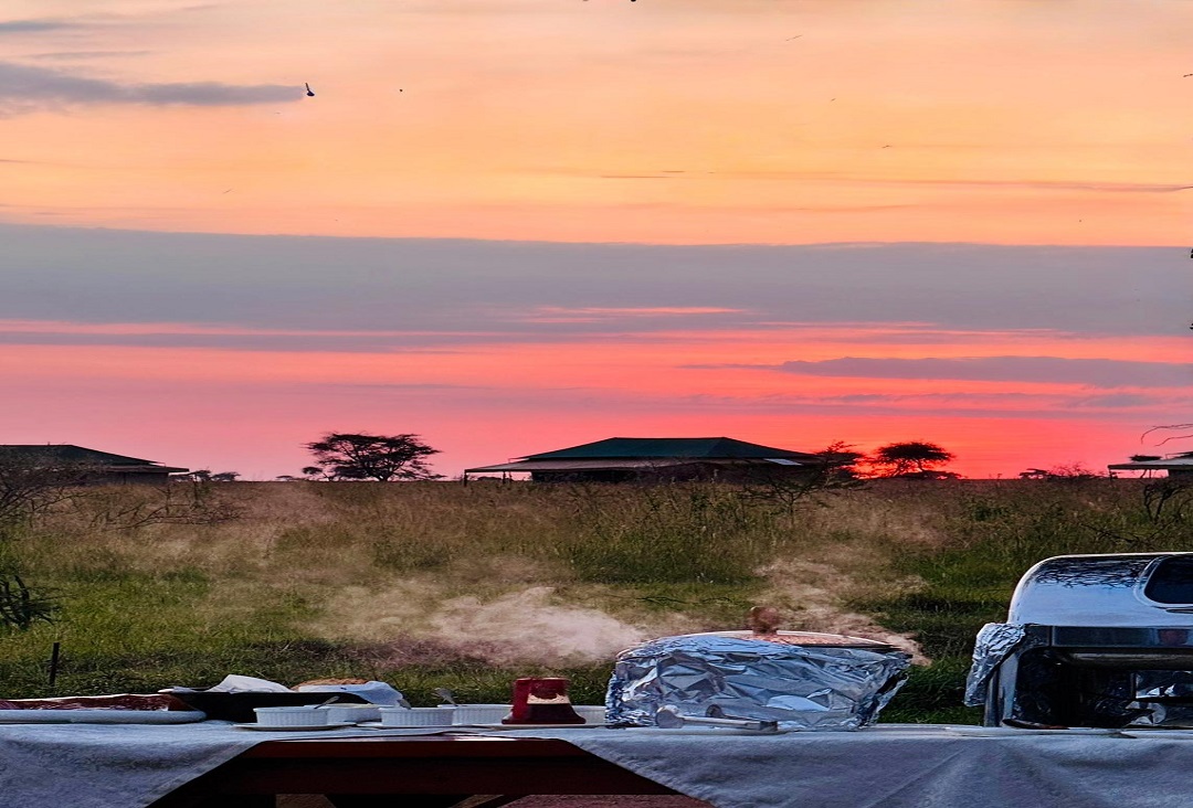 1-day Tanzania family-friendly safari