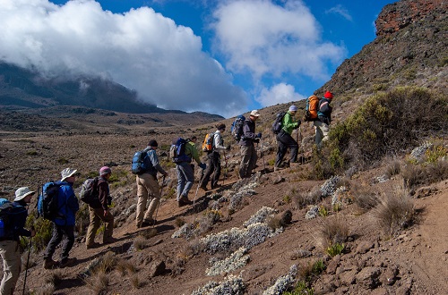 7 days Kilimanjaro climbing on Rongai route