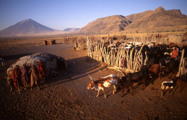 best Things to do in Lake Natron