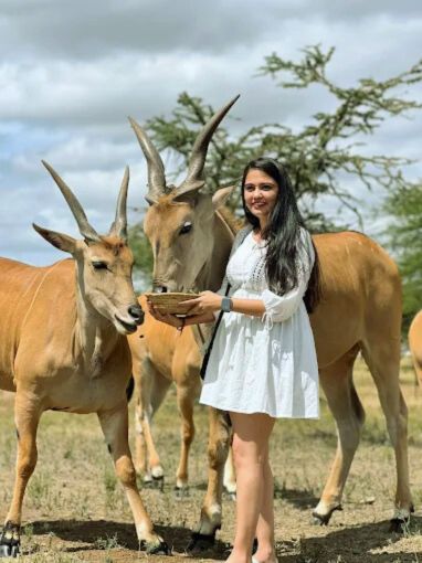 2 days tanzania safari in 2026, 2027  and 2028