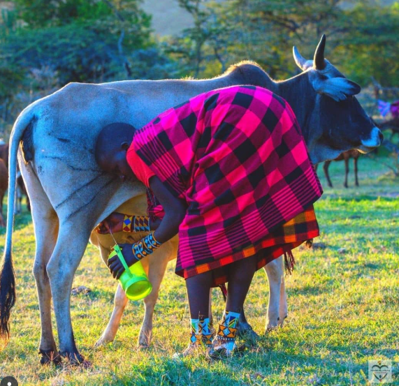 top best things to do in Lake Eyasi