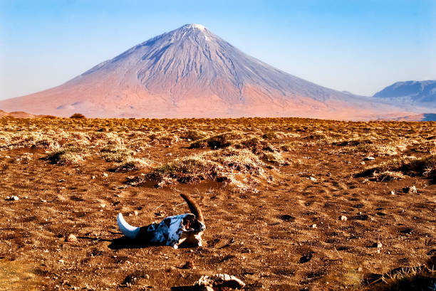 best Things to do in Lake Natron