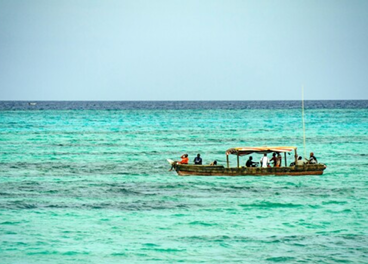  Best Tour Operator in Tanzania