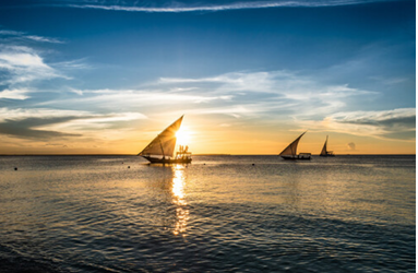  Best Tour Operator in Tanzania